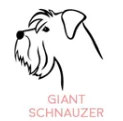GIANT-SCHNAUZER Собака портрет Персонализированные Имя ожерелье Собака ювелирные изделия любимое животное подарок для мамы собаки породы ожерелье PN305 - Окраска металла: GIANT-SCHNAUZER