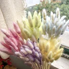 Натуральный сушеный цветок, хвост кролика, трава, искусственное растение для украшения свадебной вечеринки сделай сам, хлопковая гирлянда, домашний венок, декор для двери