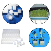 new soilless hydroponic vegetables nursery pots nursery sponge flower seed cultivation soilless cultivation system seed trays