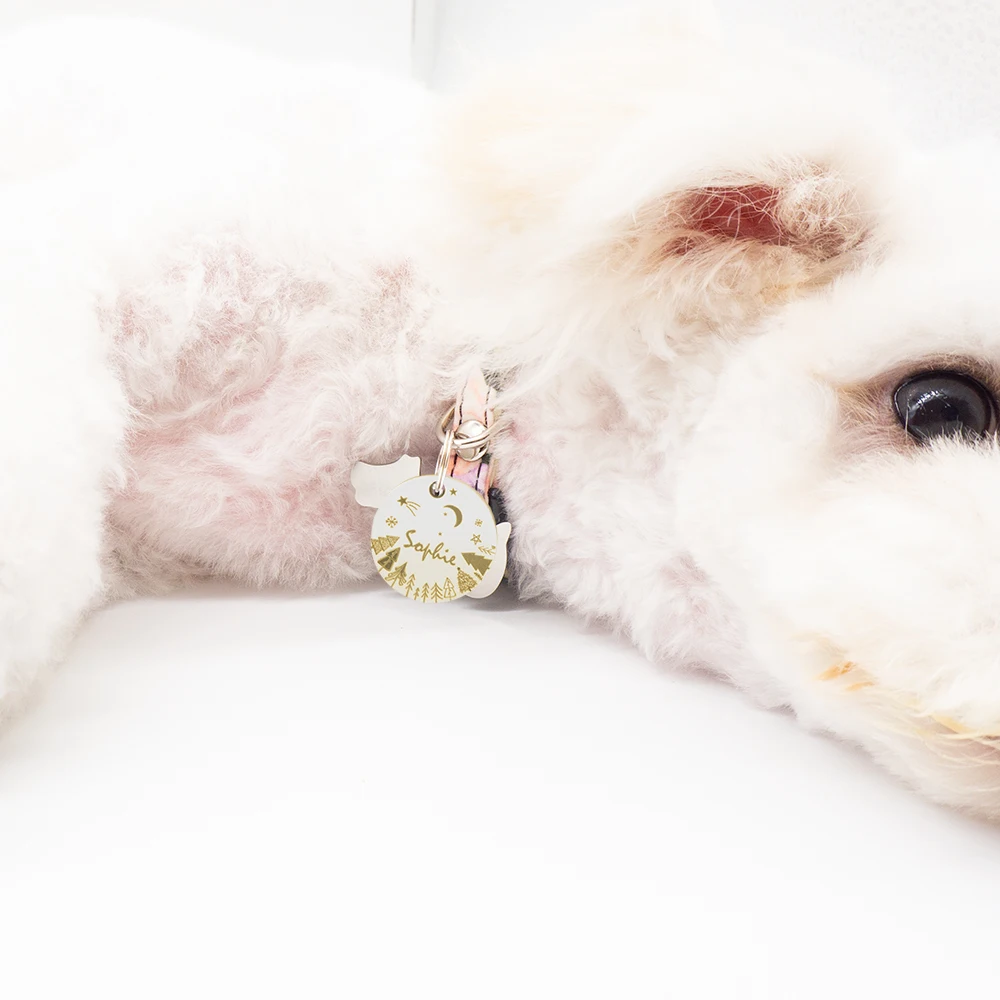 Именная табличка из латуни на заказ для домашних питомцев ярлыки с оригинальным