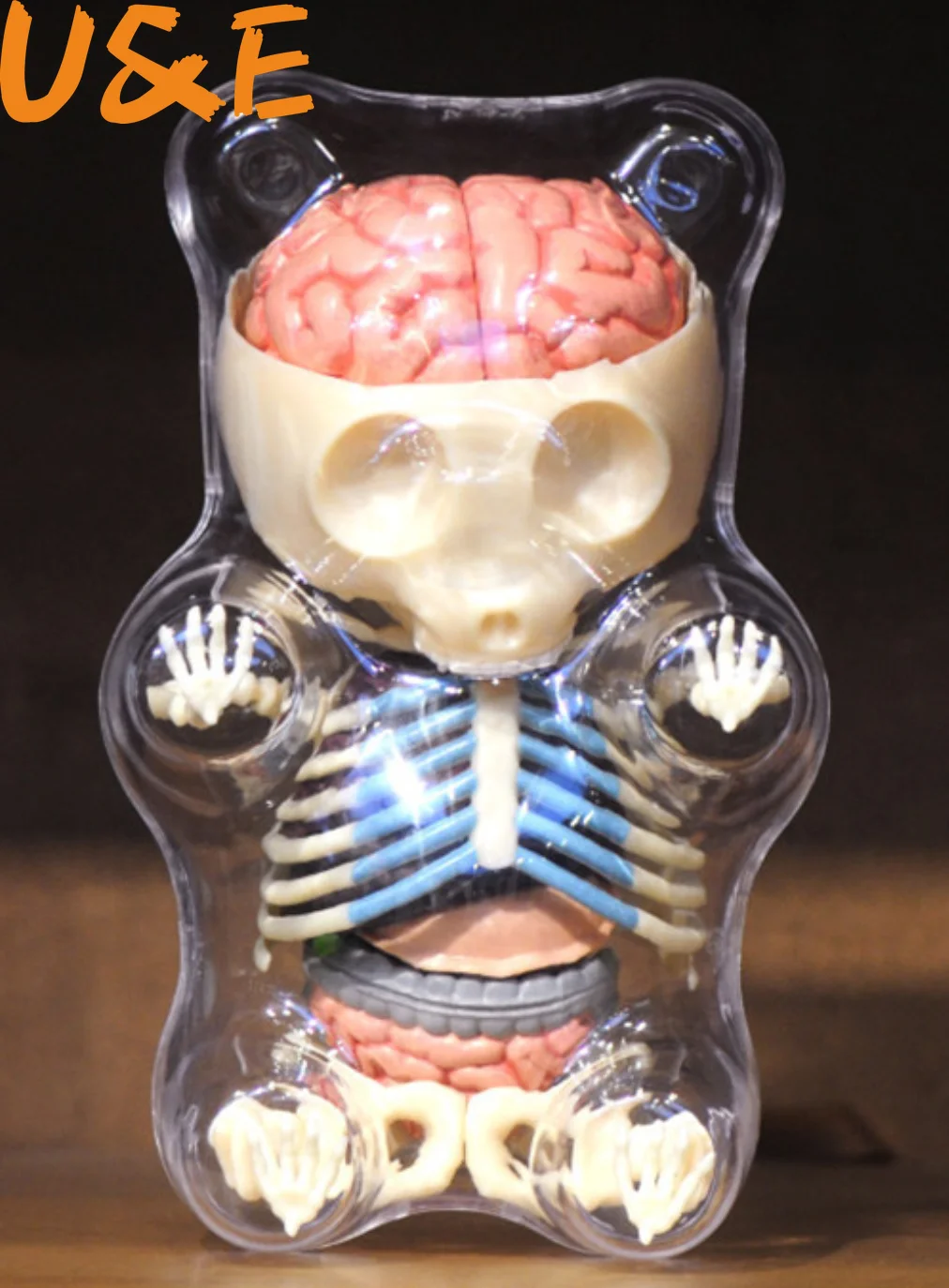 4D игрушка для сборки большой медведь | Канцтовары офиса и дома