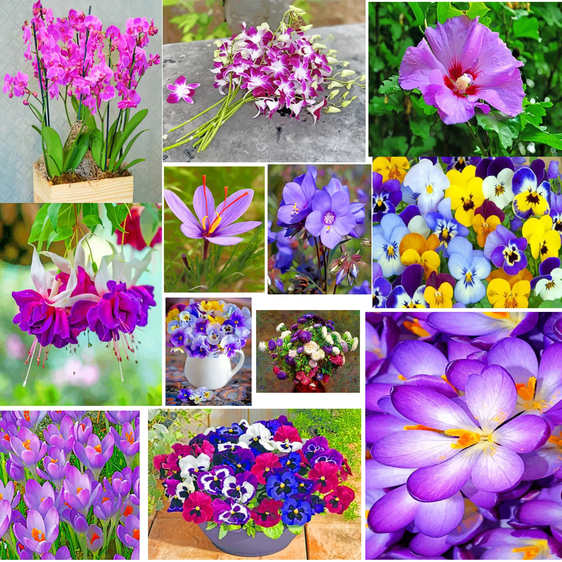 

Diamond Painting Landscape purple-crocus Full Square Round 5D DIY Art Gift Embroidery Cross Stitch Mosaic Kit Home Decoration