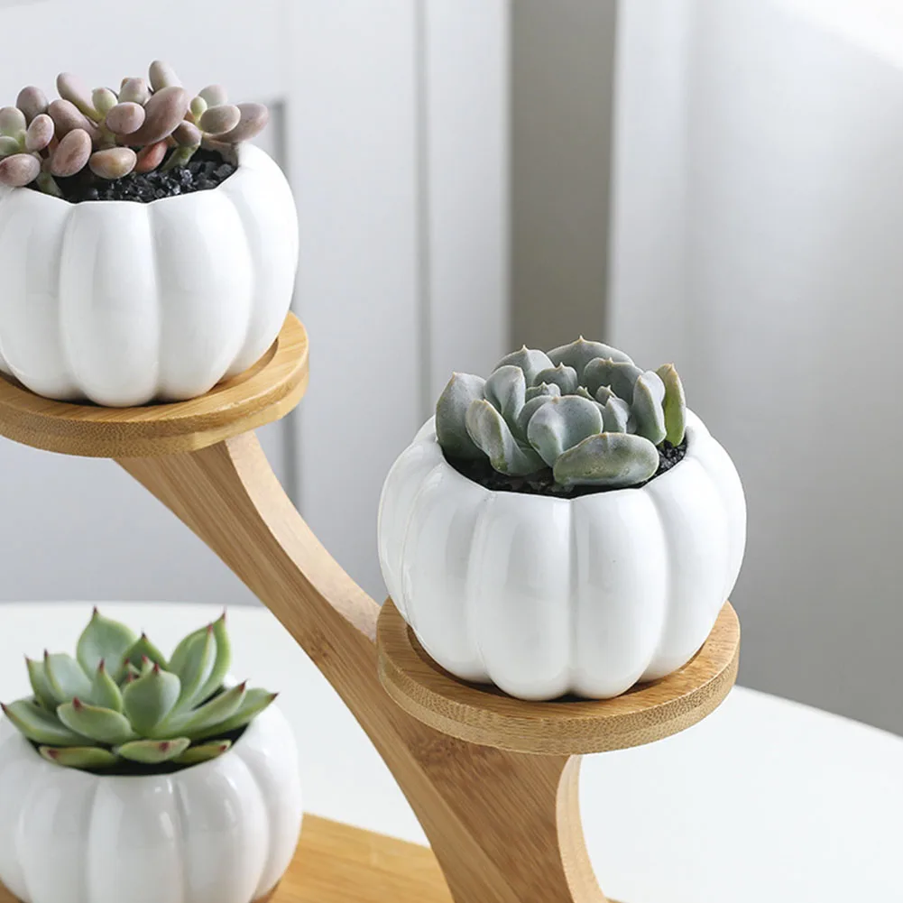 3 уровня офисные тыквенные горшки для суккулентов украшение дома с дренажной