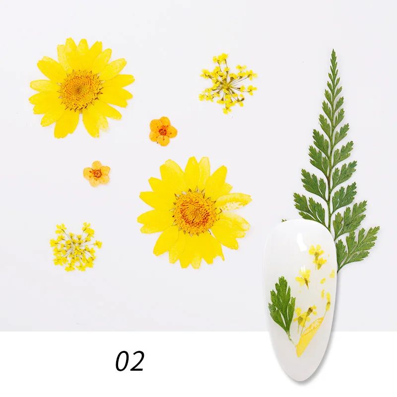 02(1bag) 1 коробка сушеные цветы лист DIY украшения для ногтей Красота цветение подсолнухи советы натуральные Подвески наклейки для ногтей аксессуары - Цвет: 02(1bag)