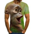 Новинка 2021, модная летняя повседневная футболка с 3D-принтом аниме обезьяны, топы с круглым вырезом