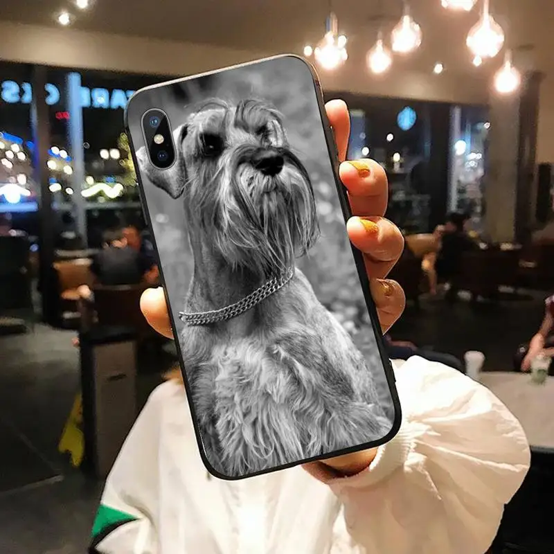 

Cute animalLovely Dogs Schnauzer Phone Case for iPhone 11 12 mini pro XS MAX 8 7 6 6S Plus X 5S SE 2020 XR shell