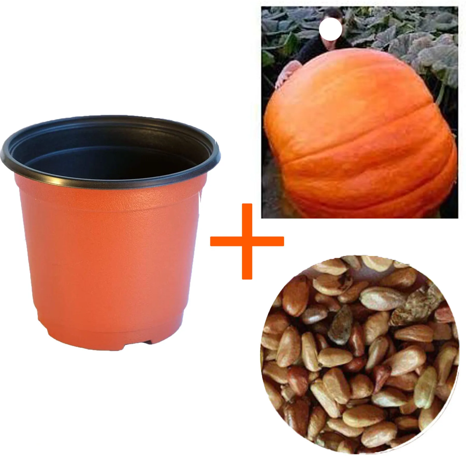 Гигантская Тыква для пластиковых растений цветочный горшок|Цветочные горшки и