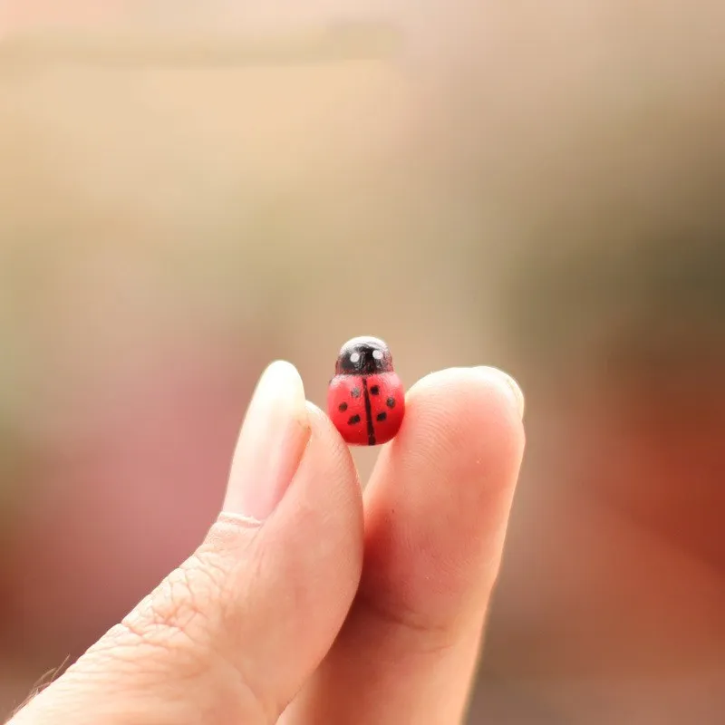 100 шт. аксессуары для фотографий | Дом и сад