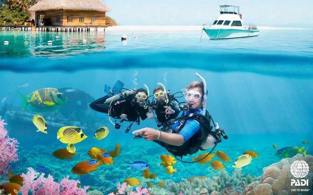 Прямая поставка Новый стиль 3 мм неопрен Для мужчин костюм для дайвинга Подкладка