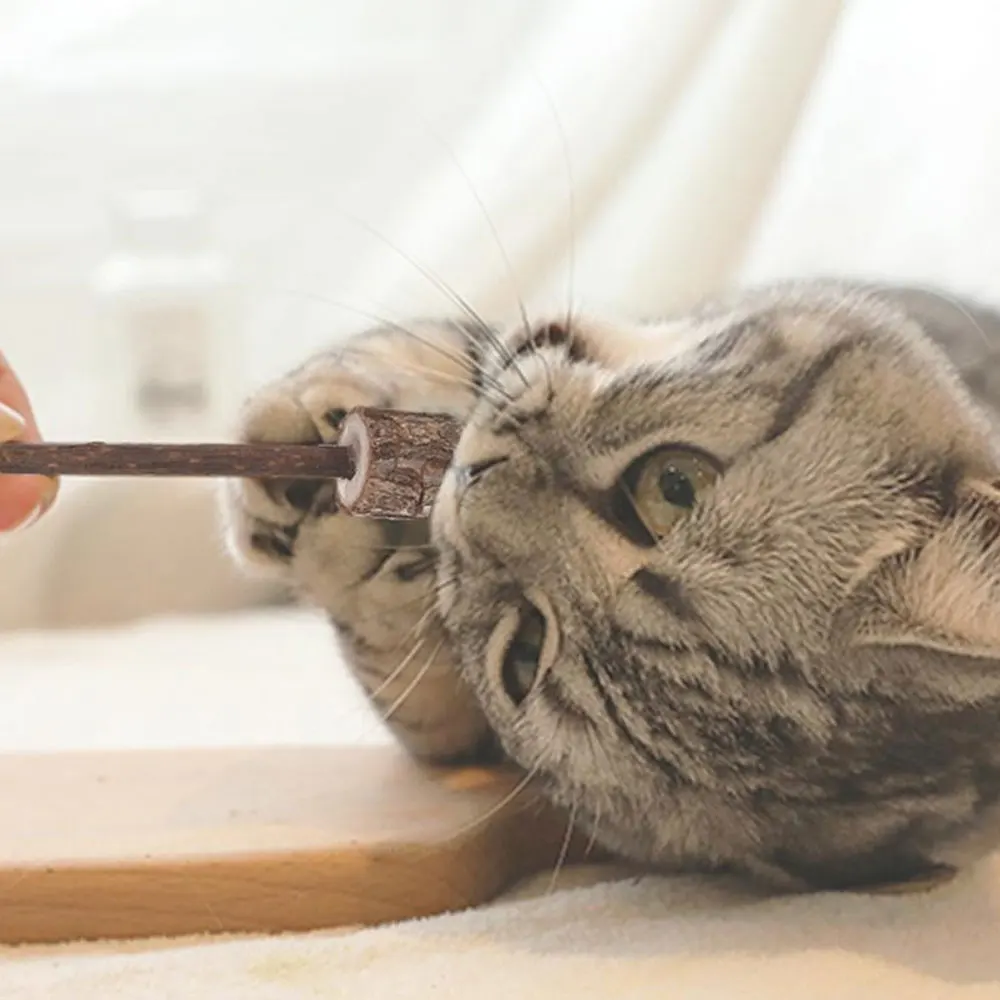 1 шт. кошачьи палочки органические игрушки натуральное растение мататаби