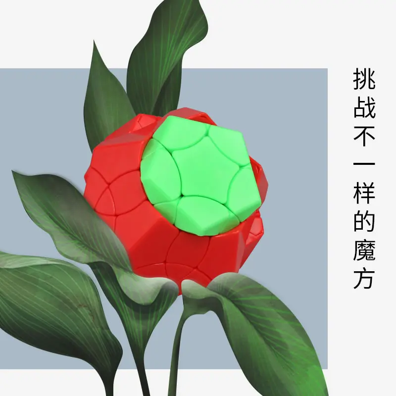 Original High Quality ShengShou 3x3x3 Megaminxeds Magic Cube SengSo Phoenix Bird 3x3 Dodecahedron Puzzle Toys Christmas Gift | Игрушки и