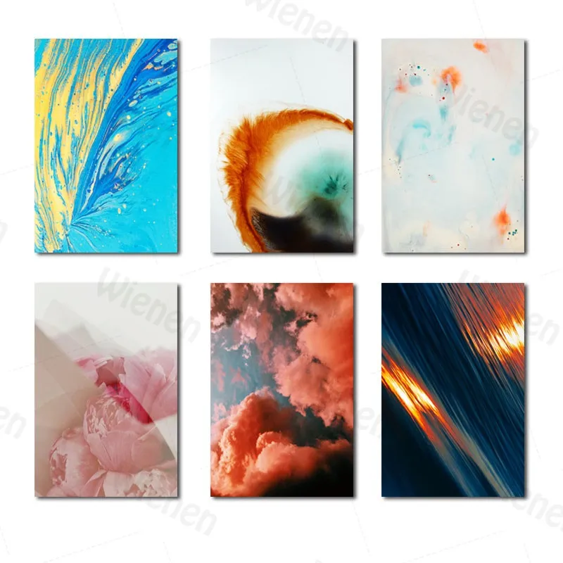 

Abstract Color Feather Canvas Painting Modern Minimalist Sunset Fire Cloud Pink Flower Poster for Living Room Home Decor WallArt