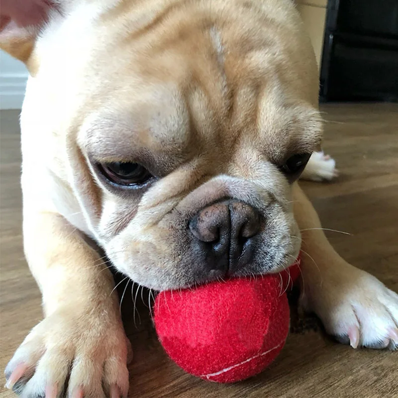 Модные забавные игрушки для собак теннисный мяч тренировок красный щенков