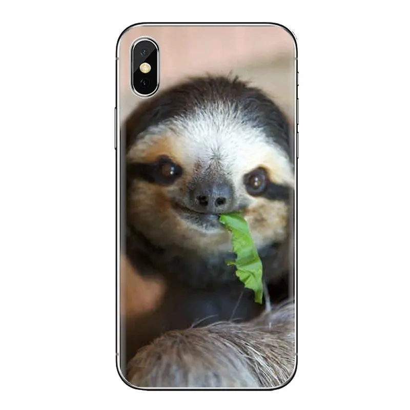 For Huawei Nova 2 3 2i 3i Y6 Y7 Y9 Prime Pro GR3 GR5 2017 2018 2019 Y5II Y6II Sloth Life Transparent Soft Shell Covers |
