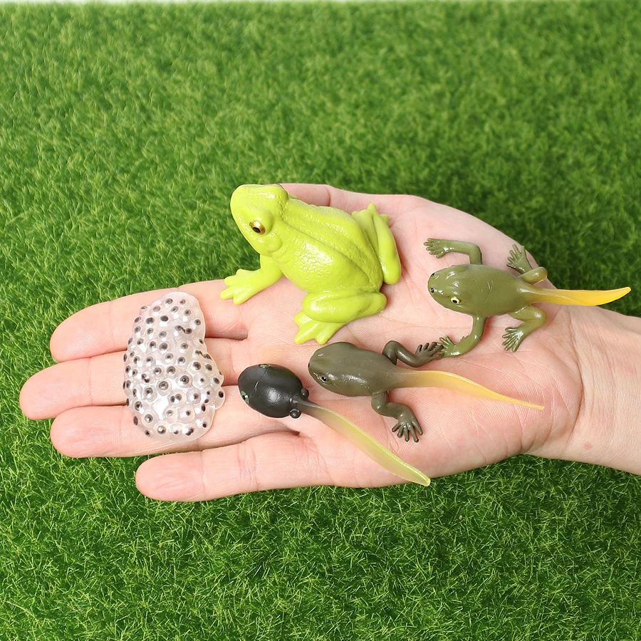 Фигурки бабочки лягушки божьей коровки пчелы паука курицы фигурки животных