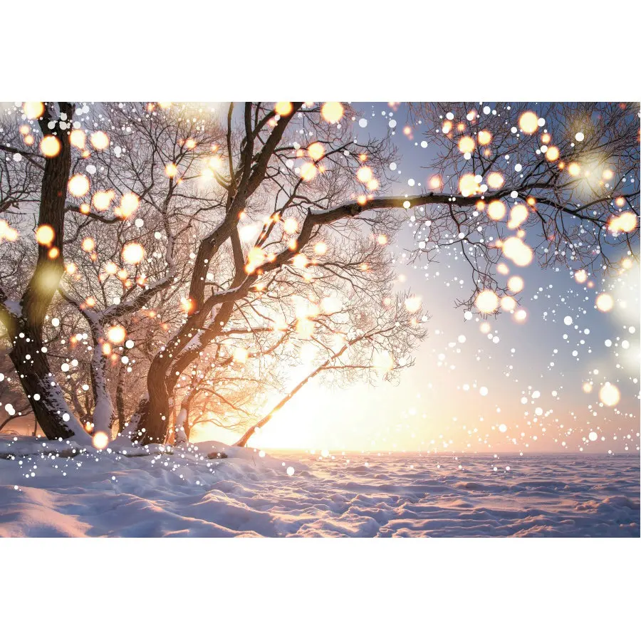 

Christmas Photography Backdrops Newborns Christmas Xmas Decor Background Snowy Family Holiday Party Photo Booth Studio Props