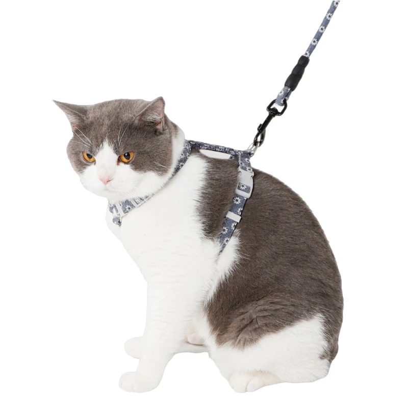 

cat leash and harness Accessories Adjustable small lovely dog kitty collar Rabbit Outdoor dogs