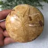 Изображение товара 2