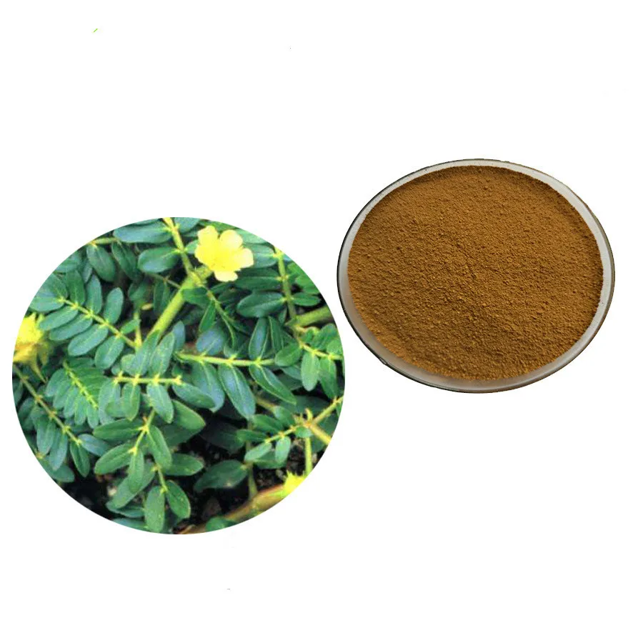 50 -1000      Tribulus terrestris  (90% )     , -,