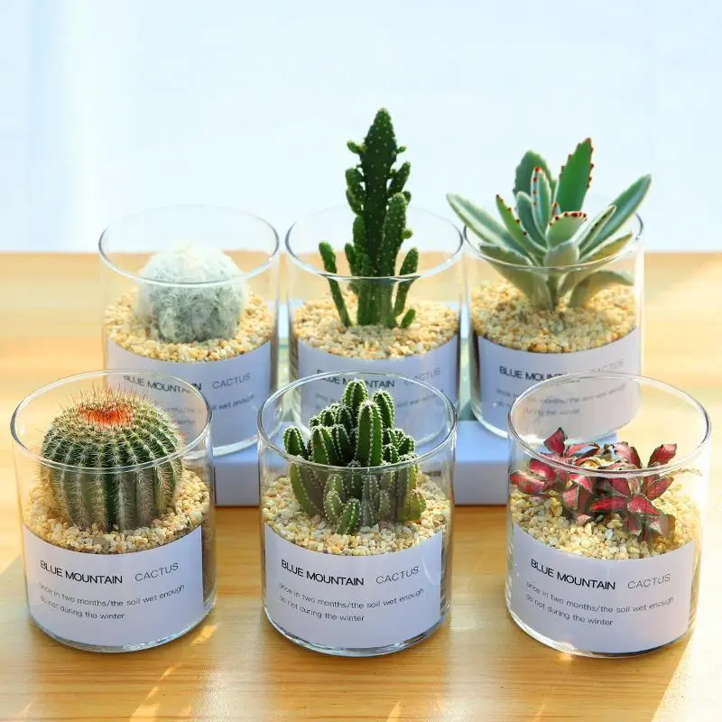 Стеклянная Маленькая ваза Скандинавская банка современный дизайн настольный