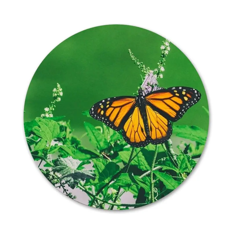 Значки бабочки на белых розах цветок значки украшения броши металлические для