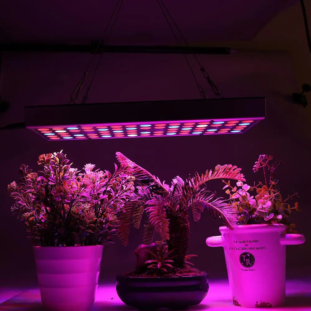 

Plants Growth Light Plant Lamp Led Grow Light High Brightness Eco-Friendly Energy Saving Red Blue 75LED 25W Micro Greens