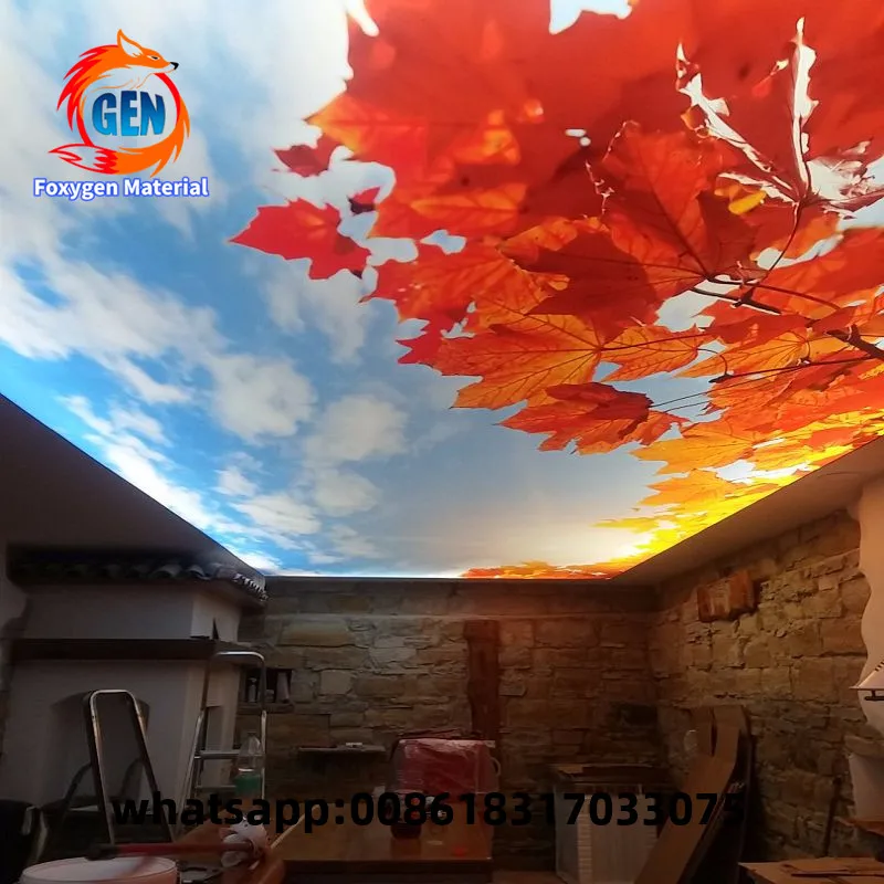 

New arrival 3D digital printing PVC stretch material for ceiling design