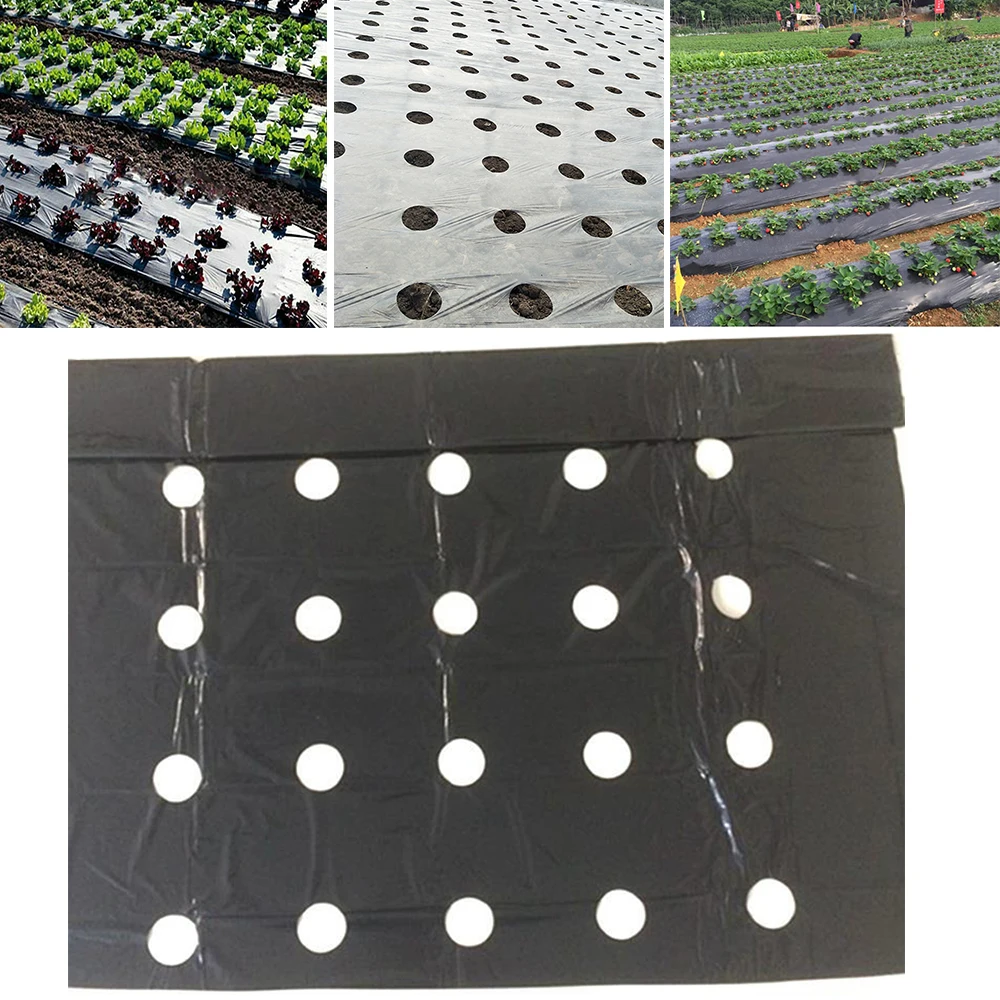 

Fruit Tree Perforated Film Keep Warm Keep Wet Black Garden Greenhouse Membrane Plants Vegetable