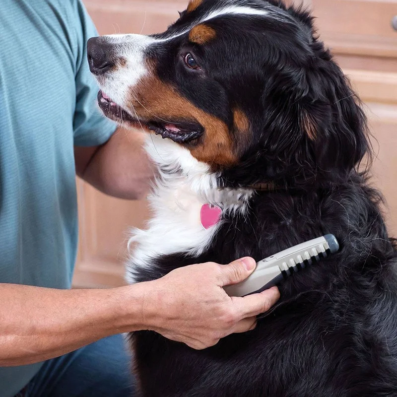 Hot Electric Pet Dog Grooming Comb Cat Hair Trimmer Knot Out Removal Brush for Dogs Care Tool | Дом и сад