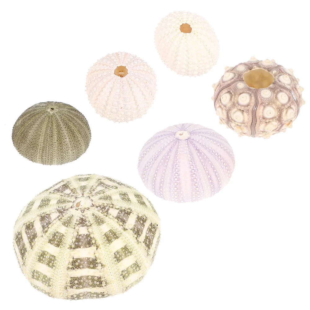 

6pcs Sea Urchin Decors Aquarium Decorations Sea Urchin Ornaments Desktop Decors