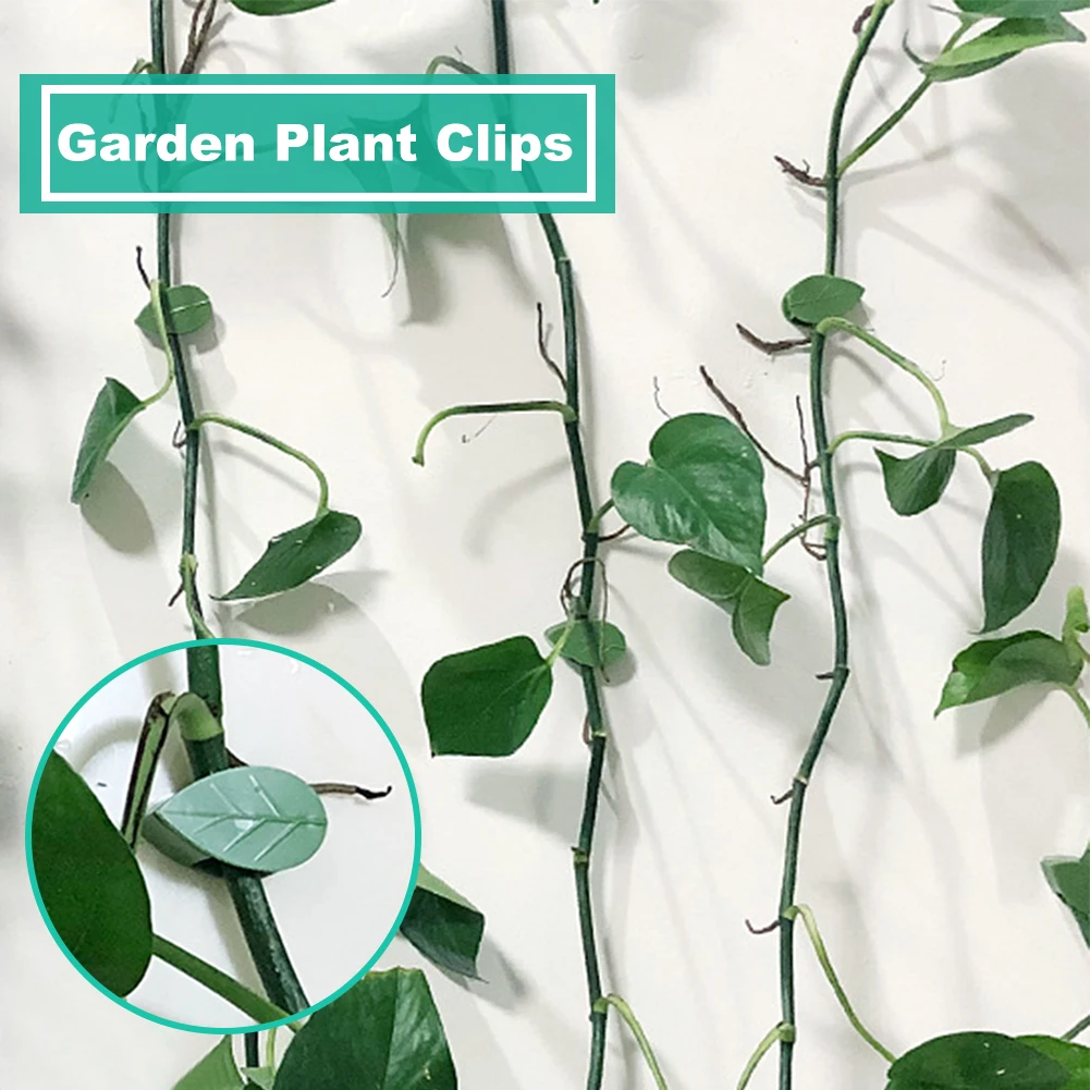 

10pcs Wall Grow Upright Snap Home Decor Leaf Shape Sticky Hook Self Adhesive Wire Fixing Garden Plant Clips Cable Organizer