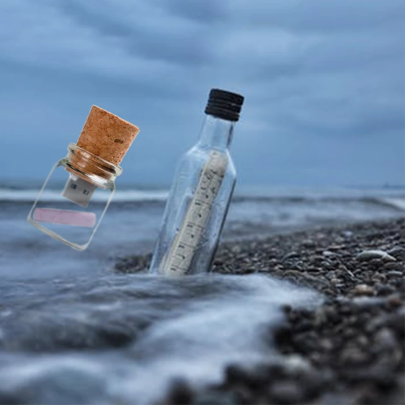 JASTER деревянная пробковая бутылка для дрифтинга usb2.0 флэш накопитель 4 ГБ 8 16 32 64