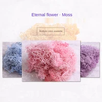 30gpack immortal moss plants indoor lawn decoration flower material diy rose accessories bonsai decoration fake greenery moss