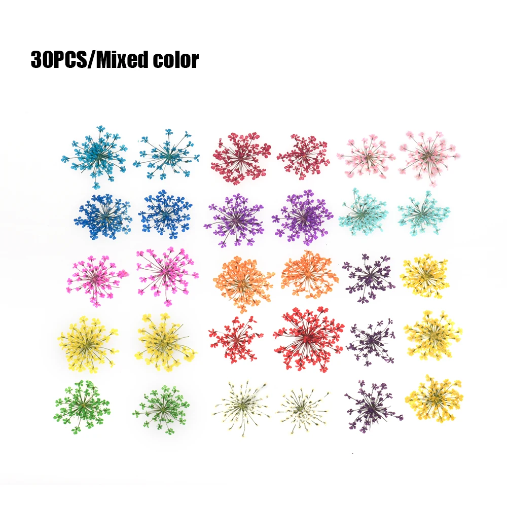 Прессованный высушенный цветочный сухой подвеска с плодами растений ожерелье