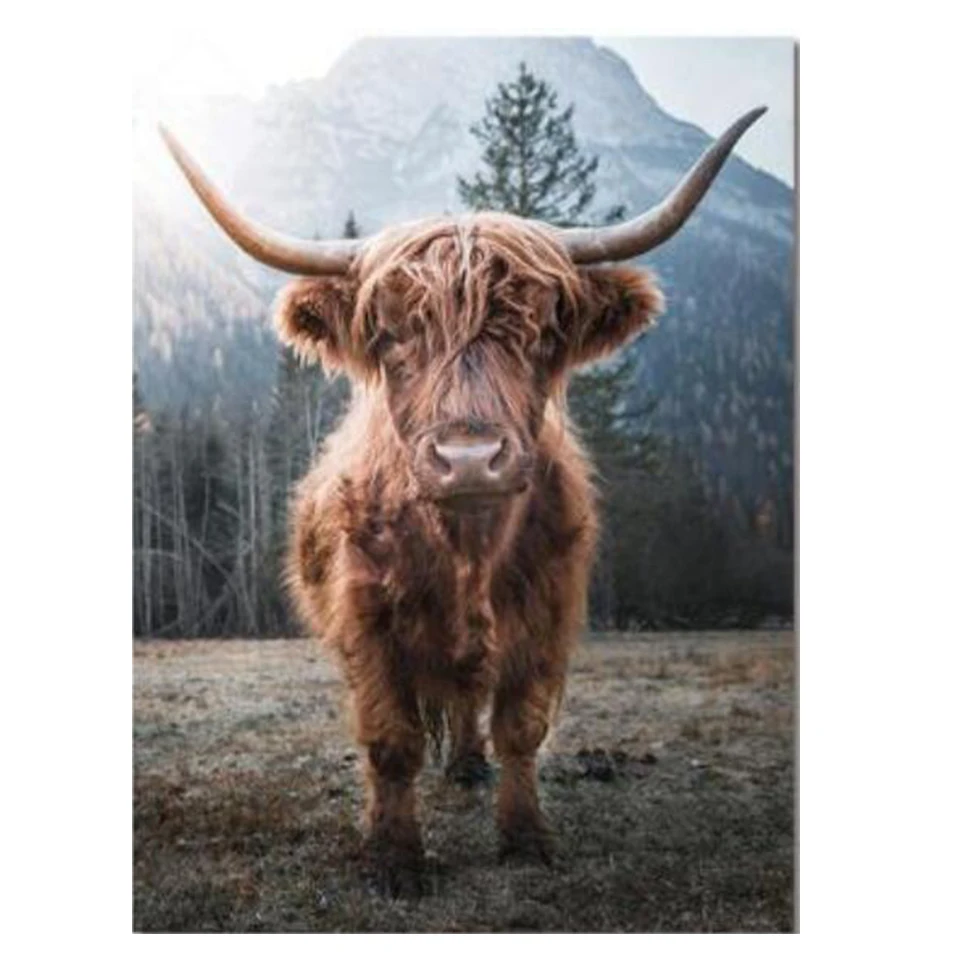 

Diamond Painting Highland Cow DIY Diamond Embroidery Brown Bull Animal Mosaic Rhinestone Of Picture Handmade Needlework