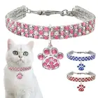 Женское Ожерелье для маленькой собаки, яркие ошейники с кулоном в виде кости, ожерелье для кошки, ошейник для собаки