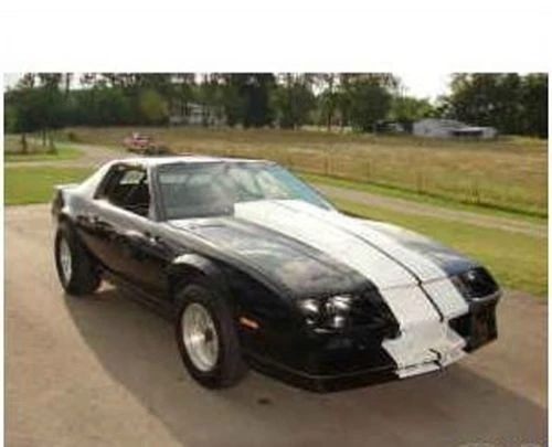 

Для всех Camaro 11 "простые наклейки с раллийными полосками и полосками