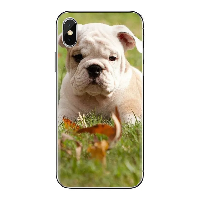 For Samsung Galaxy A3 A5 A7 A9 A8 Star A6 Plus 2018 2015 2016 2017 Soft Transparent Cases Covers Polynesian english bulldog dog |