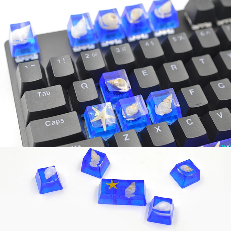 Ракушки ручной работы чистые натуральные ракушки морские звезды материал для