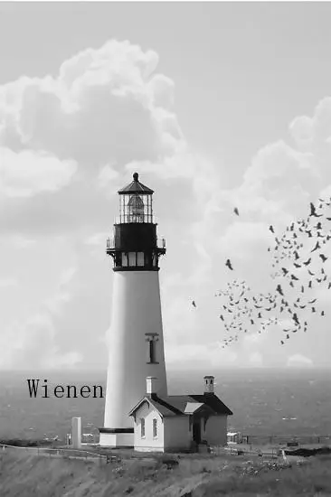 

Lighthouse Landscape Poster Print No Frame Canvas Painting Nordic Home Decor Feather and Sea Wall Art Pictures for Living Room