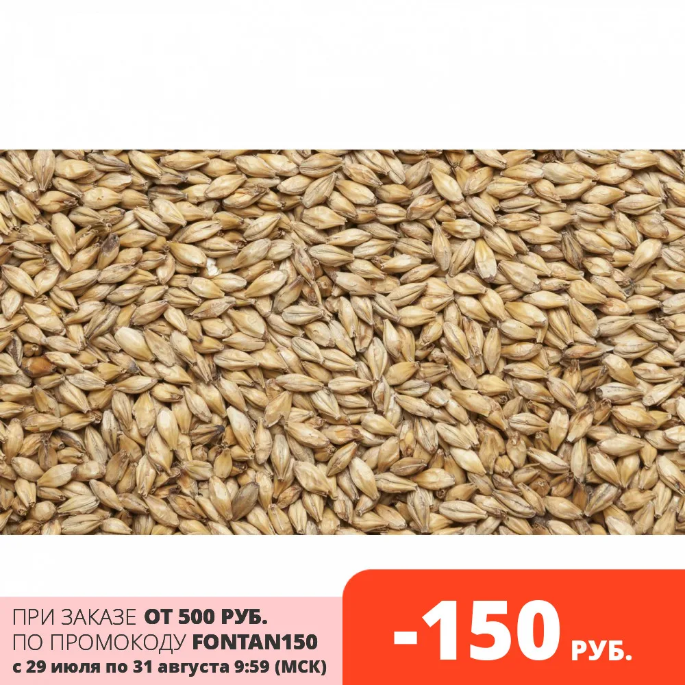 Солод ячменный пивоваренный Мюнхенский (тип 2) Курский солод 5 кг | Дом и сад