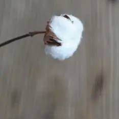 Деревенский стиль Технология вечная жизнь хлопок домашний интерьер украшение