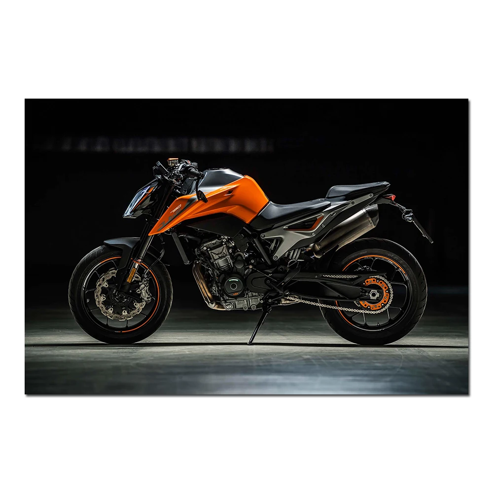 Спортивные постеры Duke 790 WONYANZE