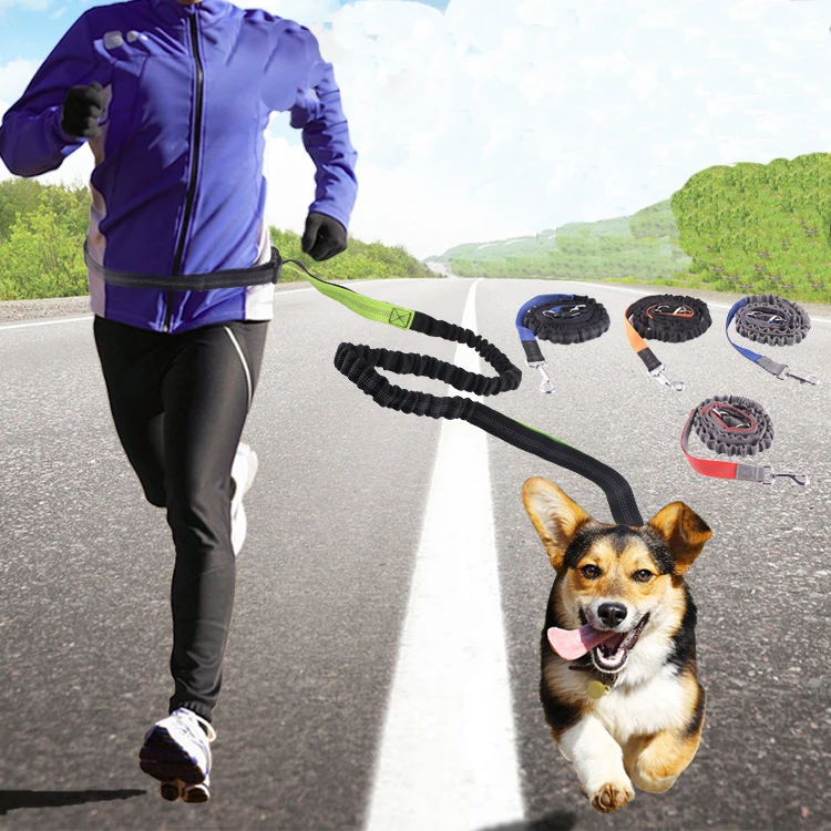 

Hands Free Dog Leash for Running Walking Training Belt Dog Accessories Include Waterproof Waist Pack and Nylon Retractable