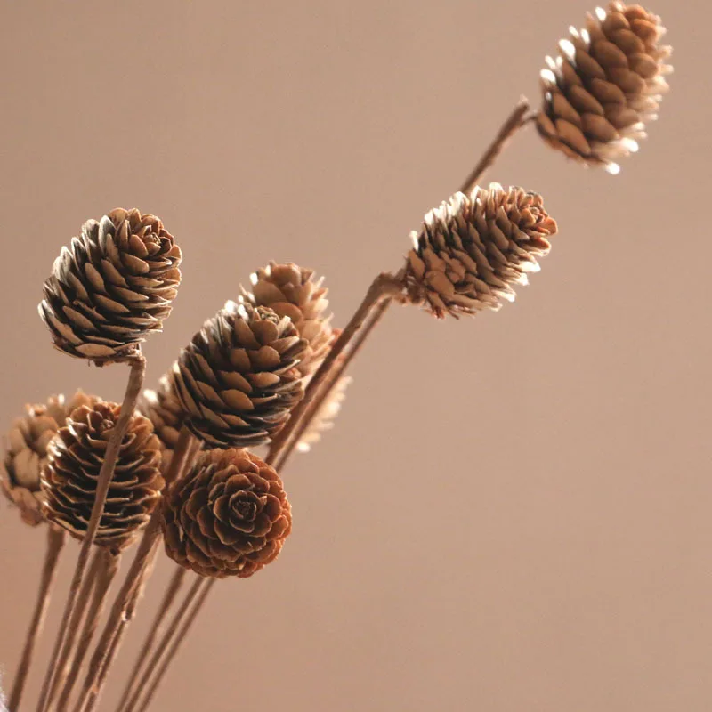 

10Pcs/40x3cm Natural Preserved Pine Cones Iron Branch High Quality Handmade For Photograph Home Desktop Office Garden Decoration