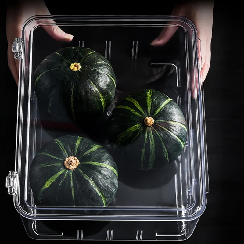 

Food Storage Box Refrigerator Storage Kitchen Plastic PET Box Fridge Storage Container Kitchen Items ContainersA