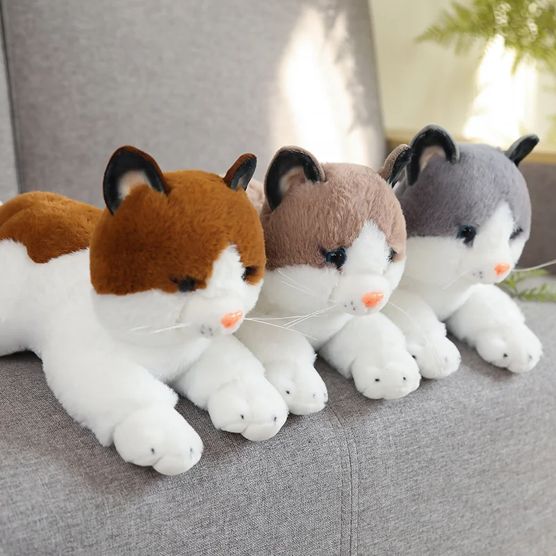 

40cm Simulation Brown&Grey Cat Plush Toy Cat Doll Brown and White Face Cats Home Decor Cute Gift