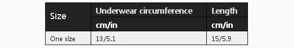 NEW 2pcs Men Panties Underwear No Strap Swimwear Low Waist Comfortable Briefs Thong | Спорт и развлечения