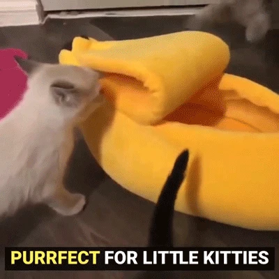 Домик для кошек бананов удобная переносная корзина домашних животных кровать с