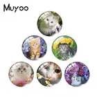 Новинка 2019, цветы и кошка, ручная работа, кабошоны, художественные фото, подарки